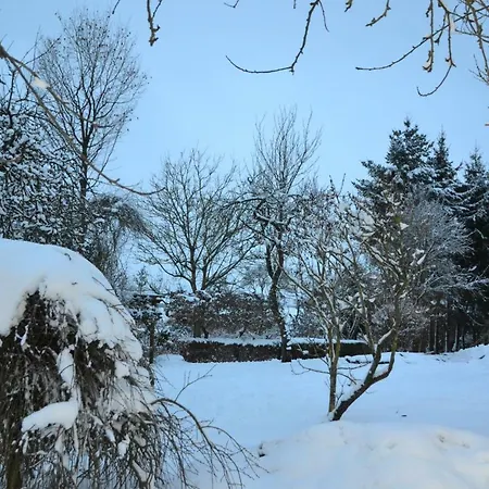 Eifelgold * Habscheid