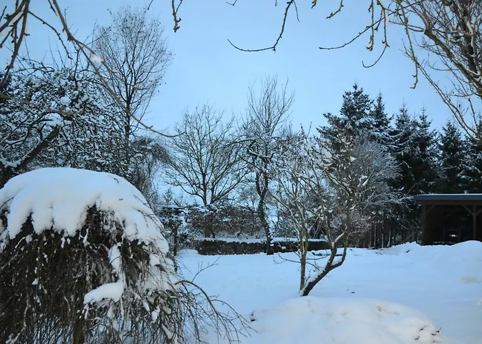 Eifelgold * Habscheid