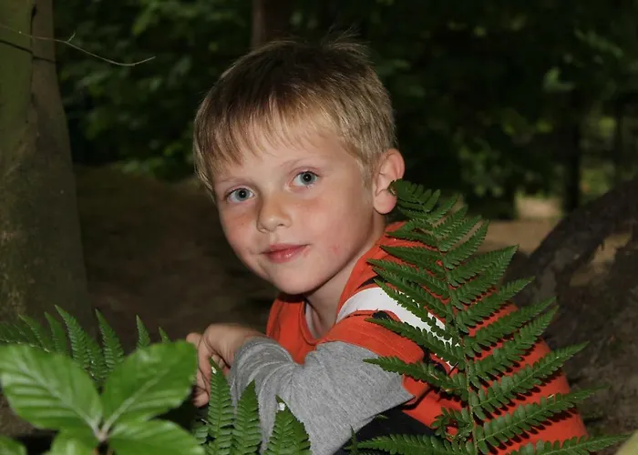 Eifelgold Appartement *